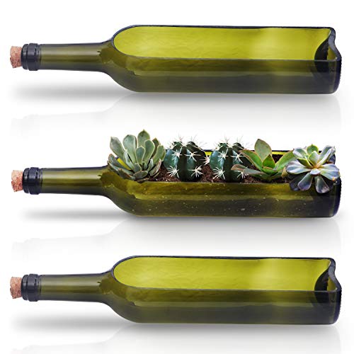Maceteros embotellados