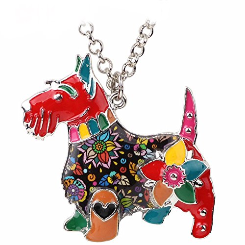 Collar en Amazon collar