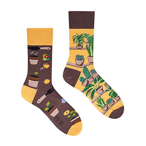 Calcetines estampados