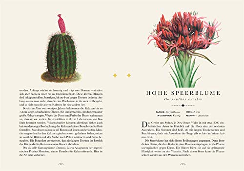 Libro de flores de papelería