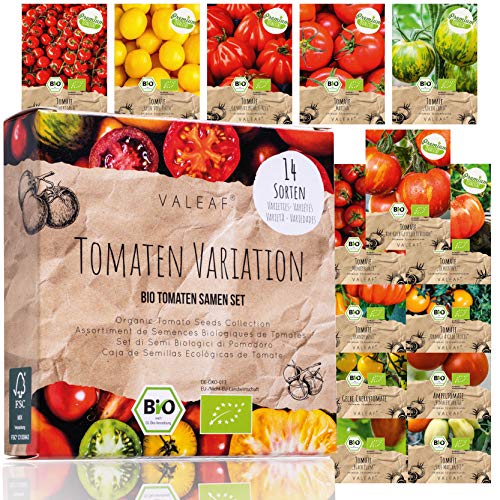 Tomates de semilla orgánicos