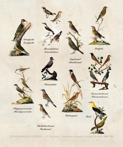 Paño de limpieza para vasos