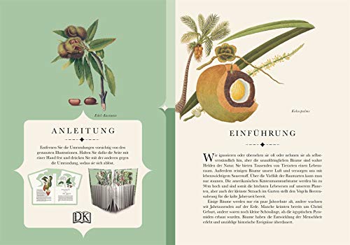 Papelería-Bäumebuch