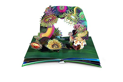 Libro emergente submarino