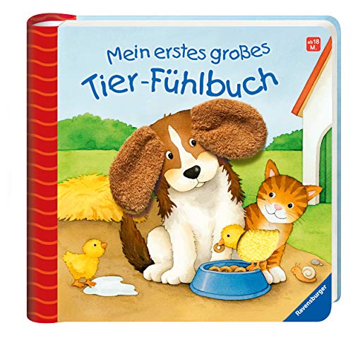 Siente el libro