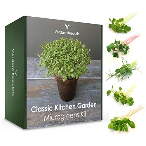 Kit de cultivo de micro-hierbas