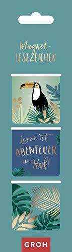 Lesezeichen bei Amazon Marcadores magnéticos