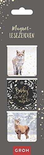 Marcadores magnéticos