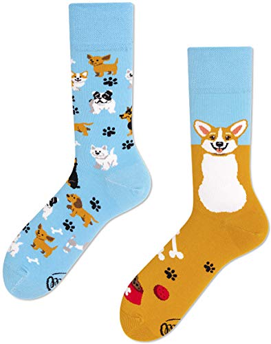 Calcetines Corgi