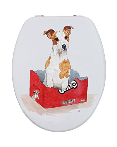 Toilettensitz