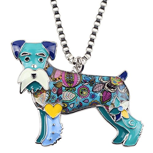 Collar en Amazon collar