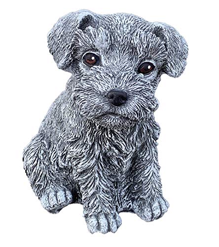 Figura de piedra en Amazon Figura de piedra