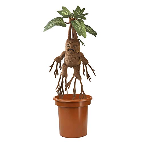 Mandrake interactivo